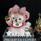 Christmas preserved flowers