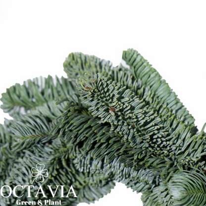 Fresh Christmas wreath (DIY kit available for purchase)