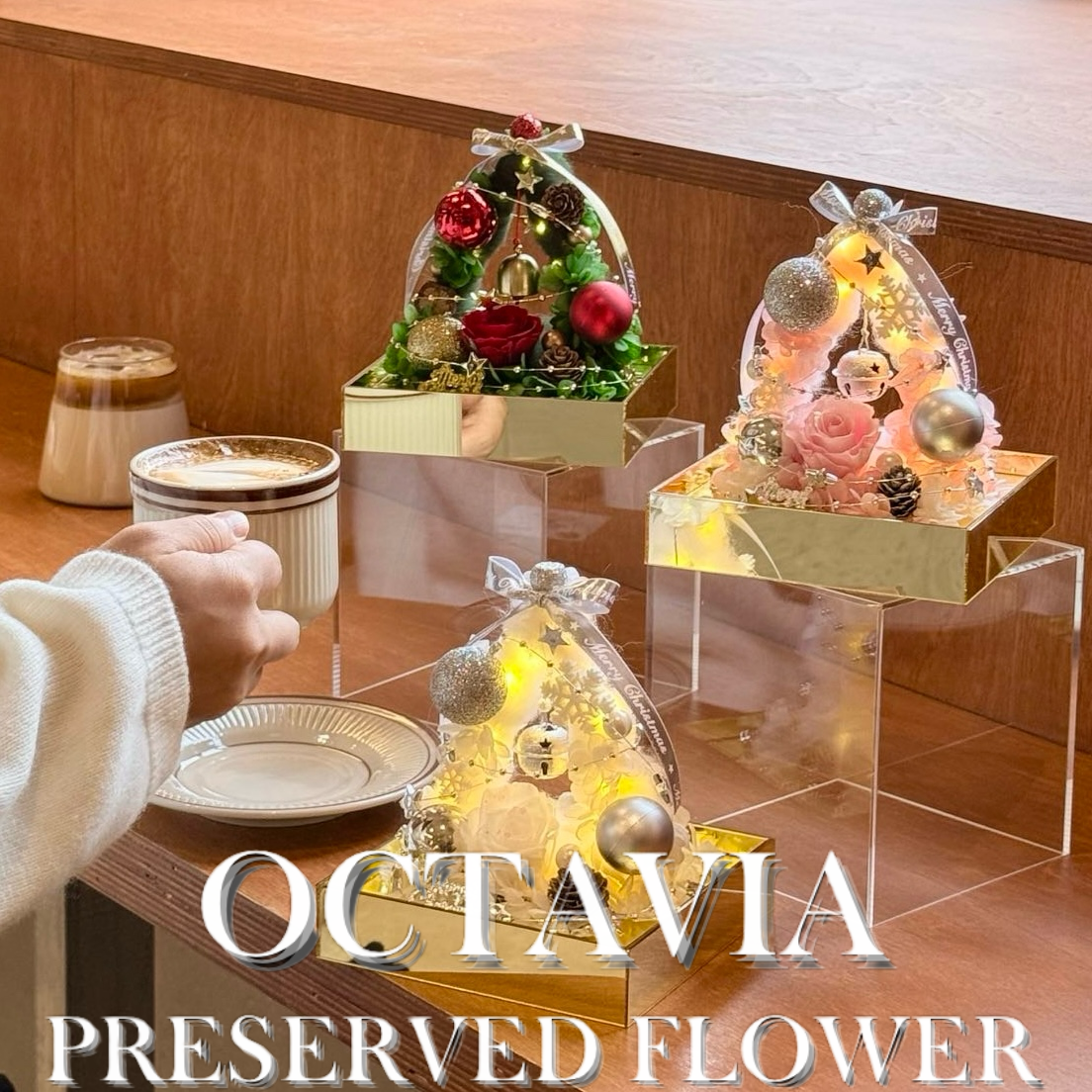 Christmas preserved flowers