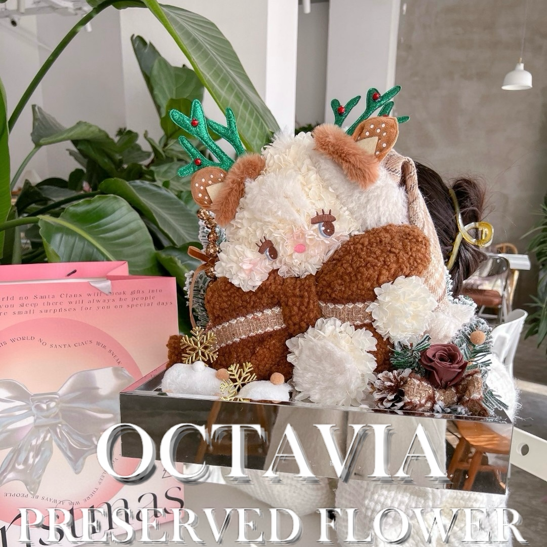 [永生花]-冬日Mikko貓(焦糖咖啡色)