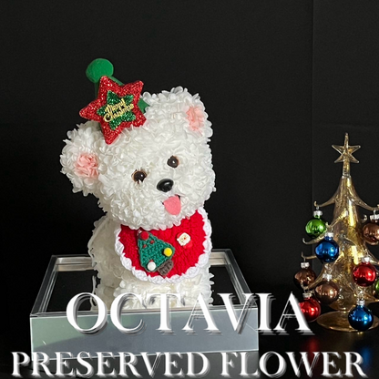 [Eternal Flower] - White Christmas Puppy B