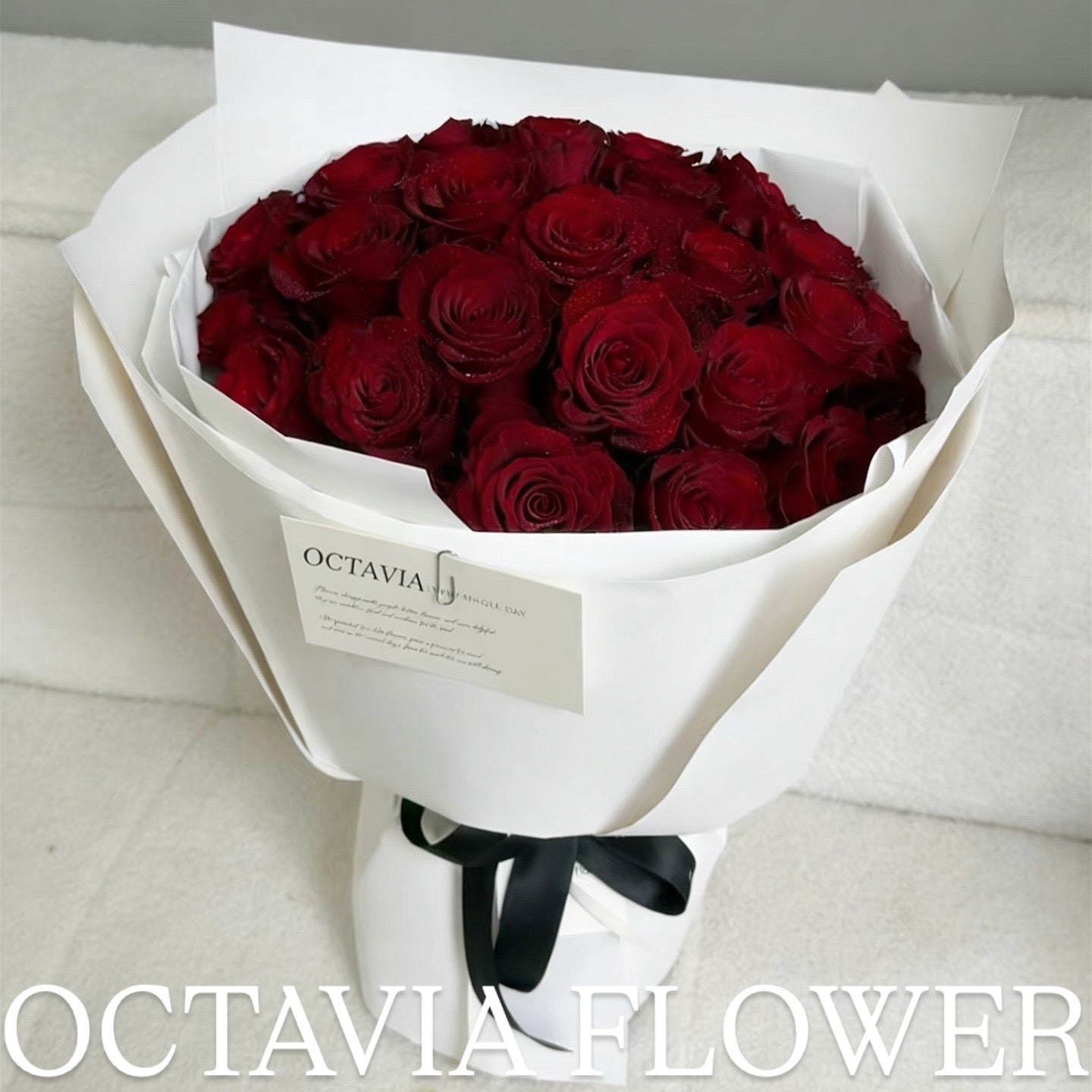 33枝 OCTAVIA