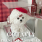 Christmas preserved flower - puppy