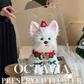 Christmas preserved flower - puppy