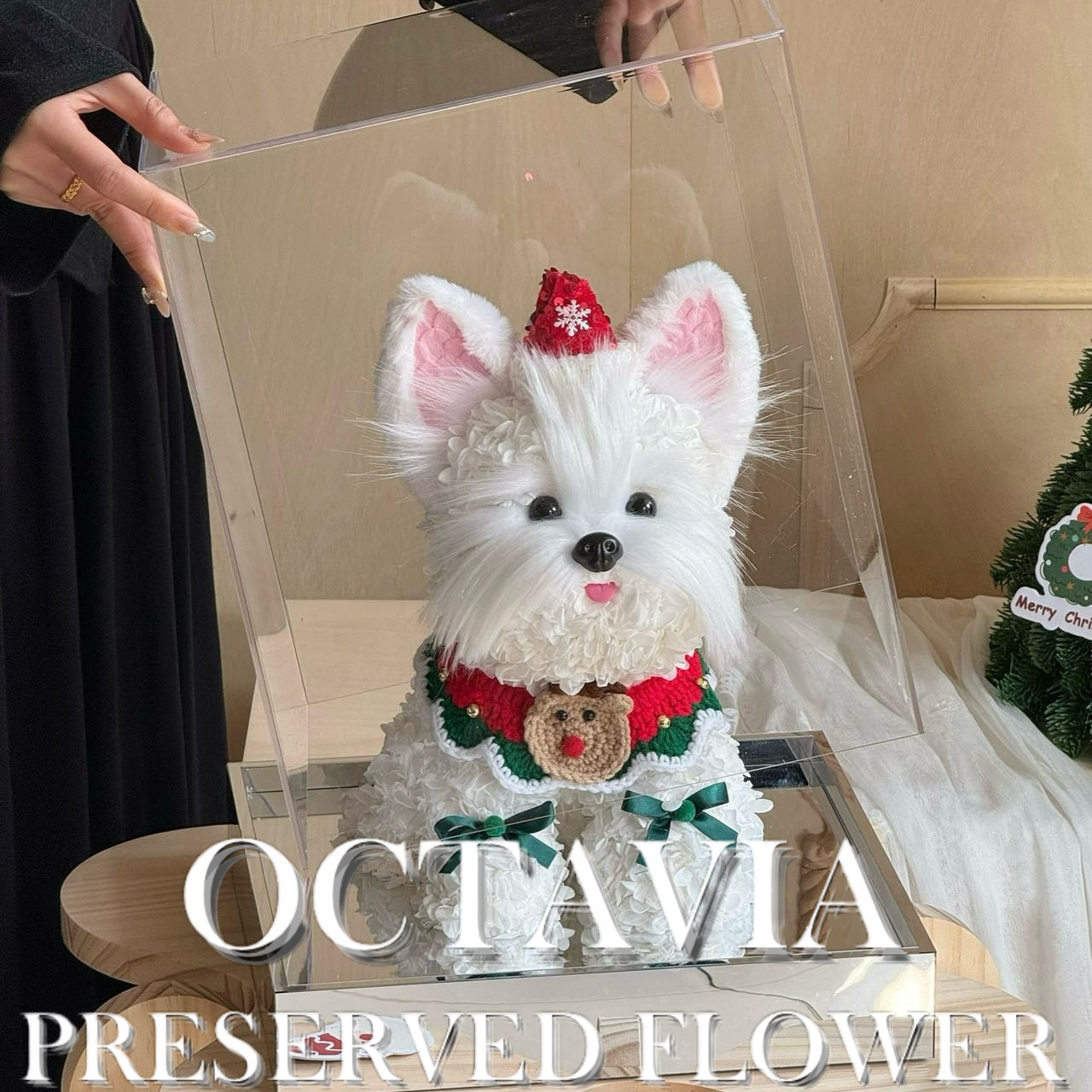 Christmas preserved flower - puppy