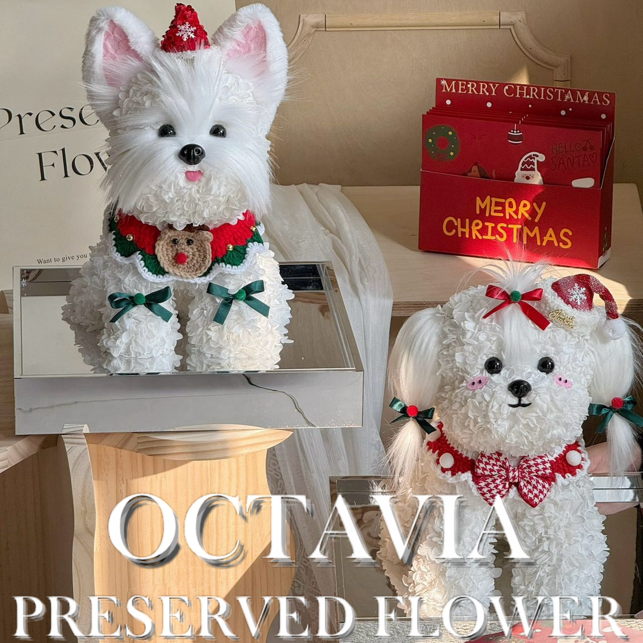 Christmas preserved flower - puppy