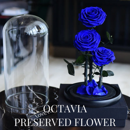 PFN18-三朵永生花玻璃罩(藍色) OCTAVIA