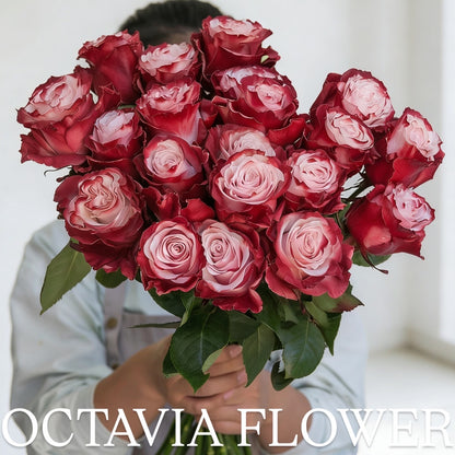竹竹 OCTAVIA