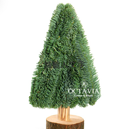 Handmade fresh Christmas tree (DIY material kit available for purchase)