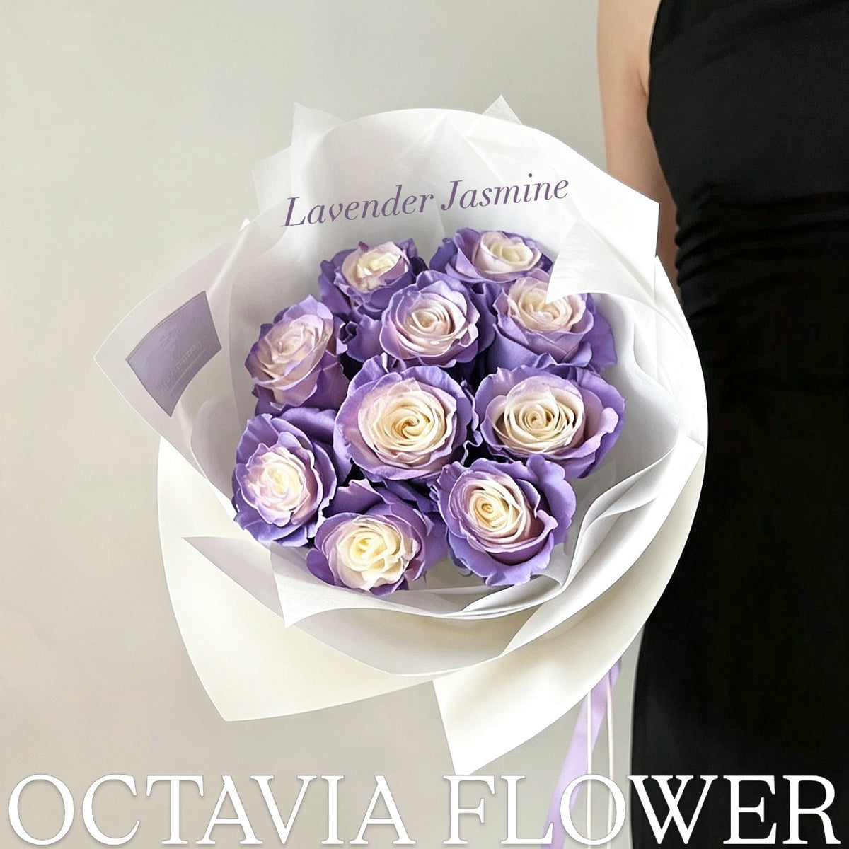 TR OCTAVIA