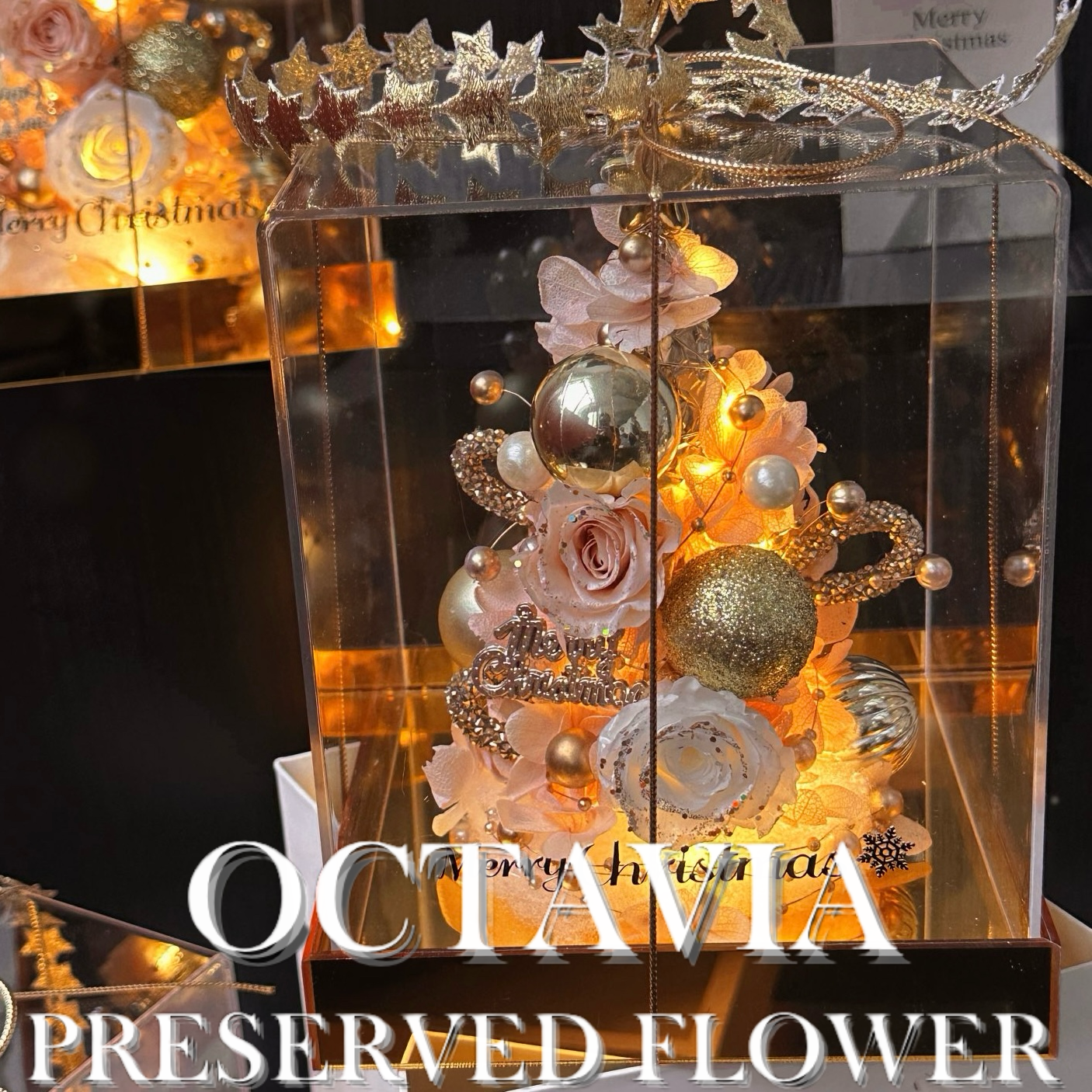 [永生花]-星願聖誕樹(共2色)