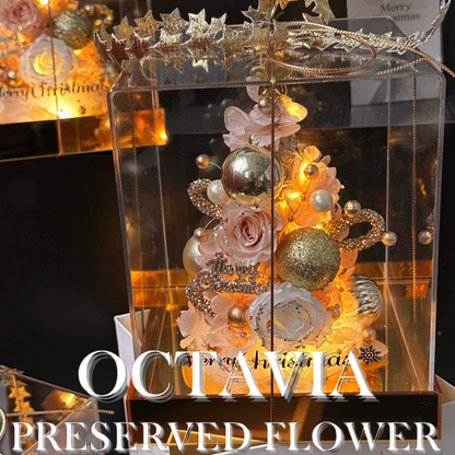 [永生花]-星願聖誕樹(共2色)