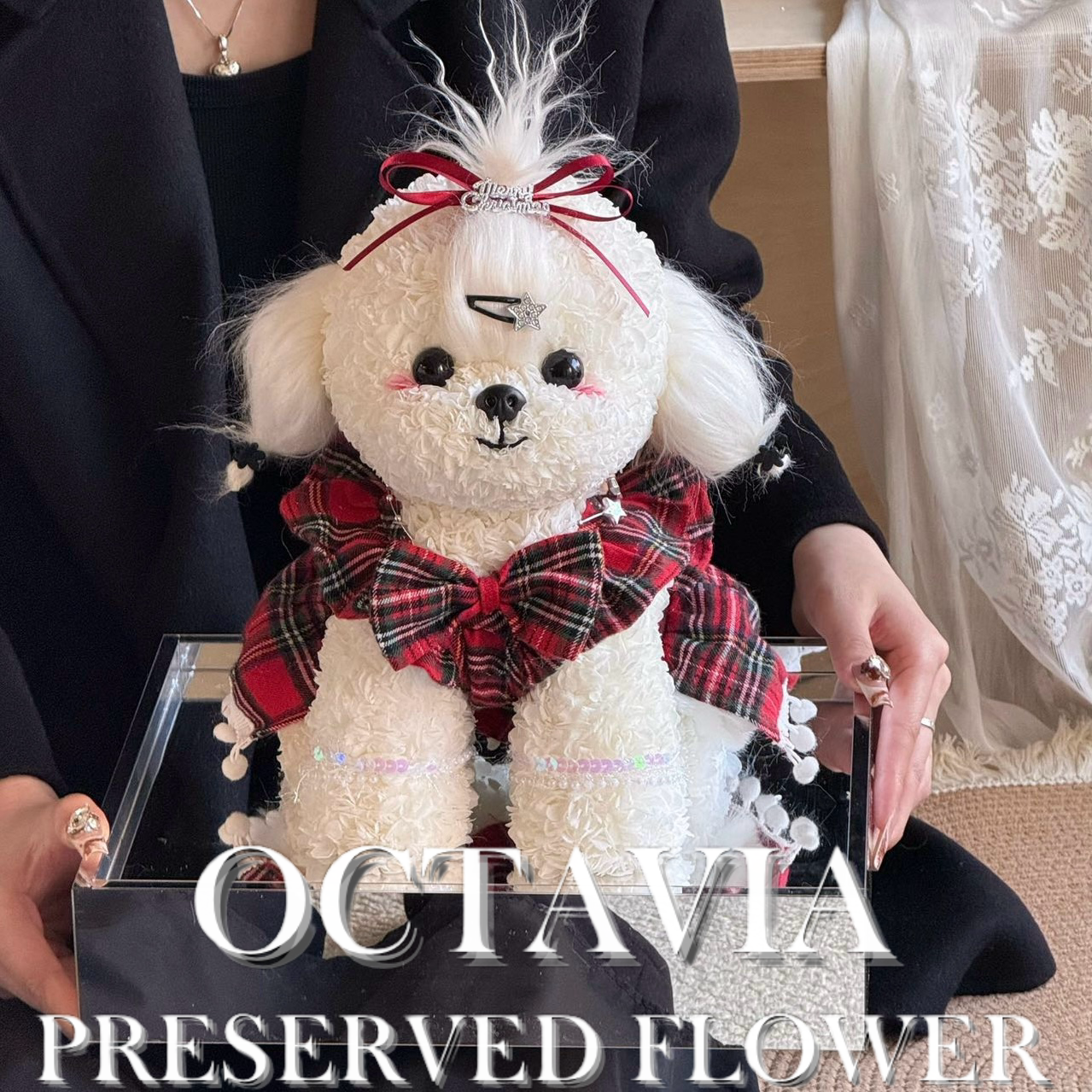 [永生花]-聖誕小狗妹妹