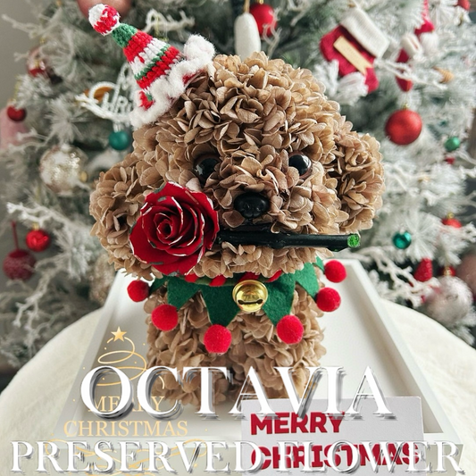 Christmas preserved flower - puppy