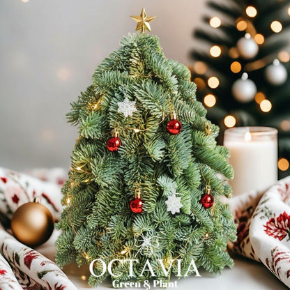 Handmade 3D Fresh Christmas Tree (DIY material kit available for purchase)