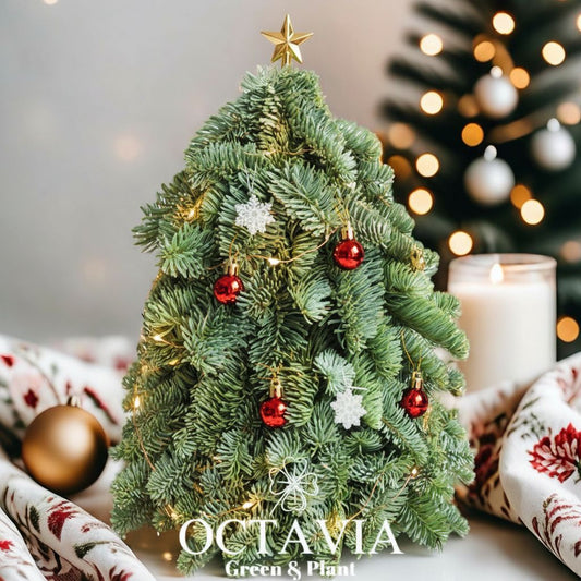 手工立體聖誕樹(可加購DIY材料包)