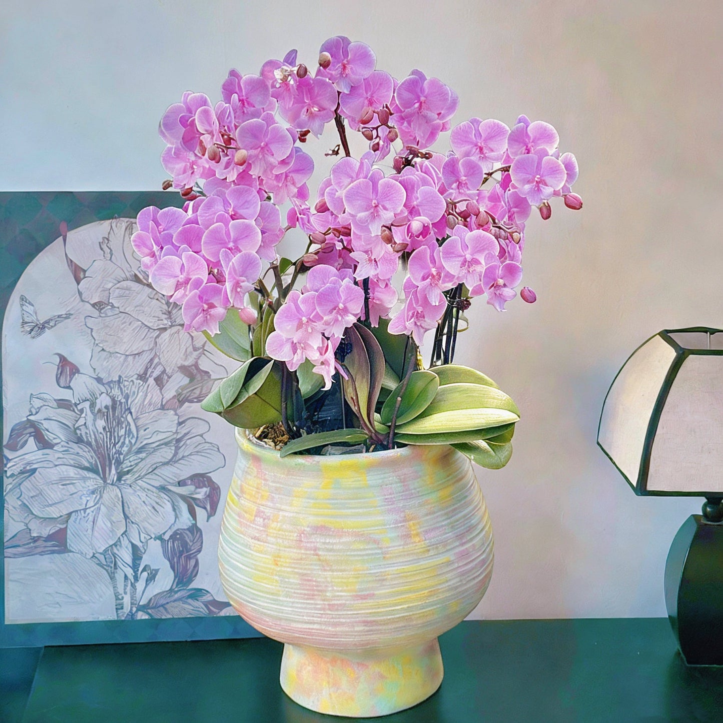 2026 新春賀年蘭花 10枝桃粉色蝴蝶蘭 日落王子 幻彩馬卡龍色調花器 (CNY 10 Stems Peach Pink ORCHID Phalaenopsis in a Macaron Color Pot)