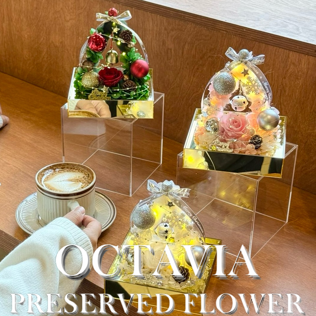 Christmas preserved flowers