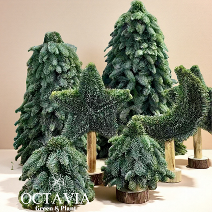 Handmade fresh Christmas tree (DIY material kit available for purchase)