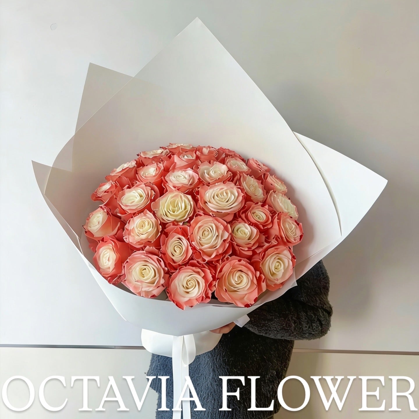 朋 OCTAVIA