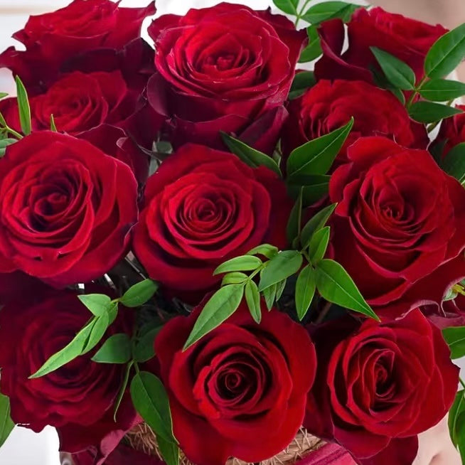 紅色玫瑰33枝花束｜黑色包裝 OCTAVIA