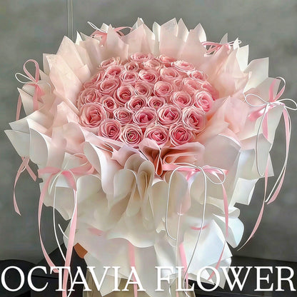 111 OCTAVIA