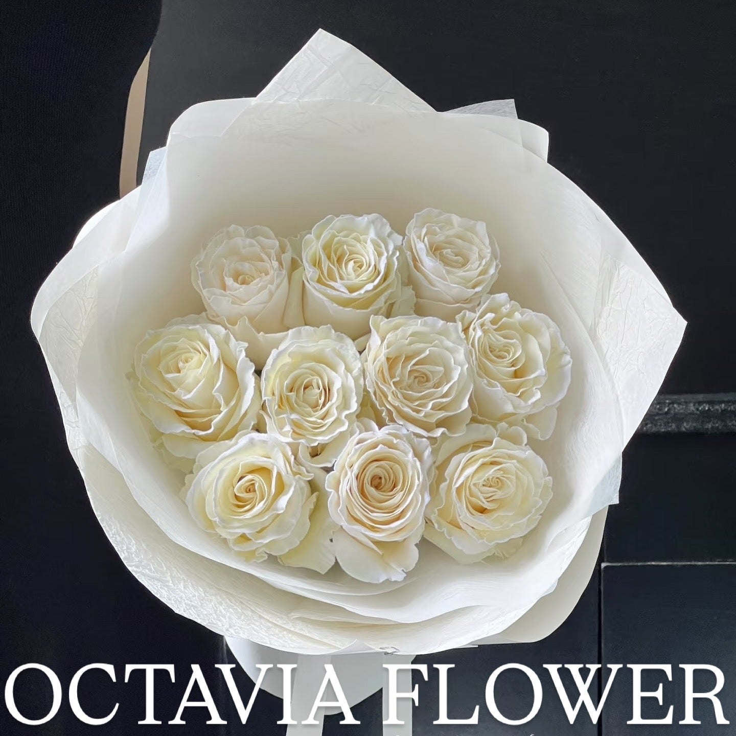 第 OCTAVIA