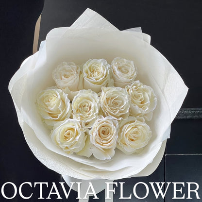 第 OCTAVIA