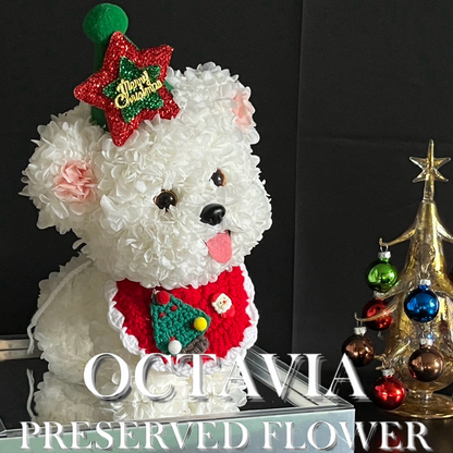 [Eternal Flower] - White Christmas Puppy B
