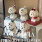 Christmas preserved flower - puppy