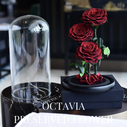 PFN18-三朵永生花玻璃罩(色) OCTAVIA