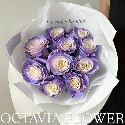 TR OCTAVIA