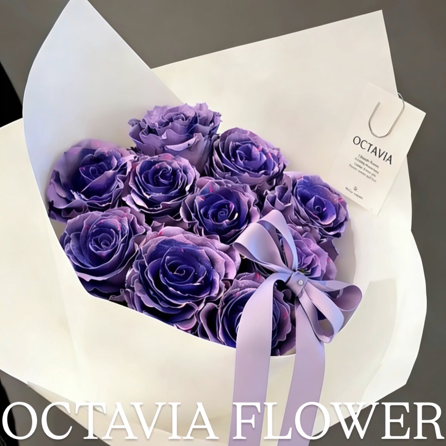 第 OCTAVIA