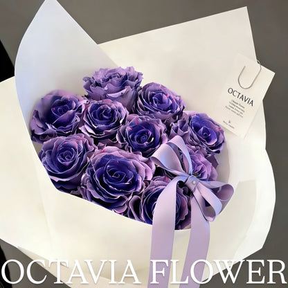 第 OCTAVIA
