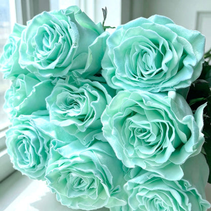 Velvet Aquamarine 毛毛蒂粉尼藍 OCTAVIA