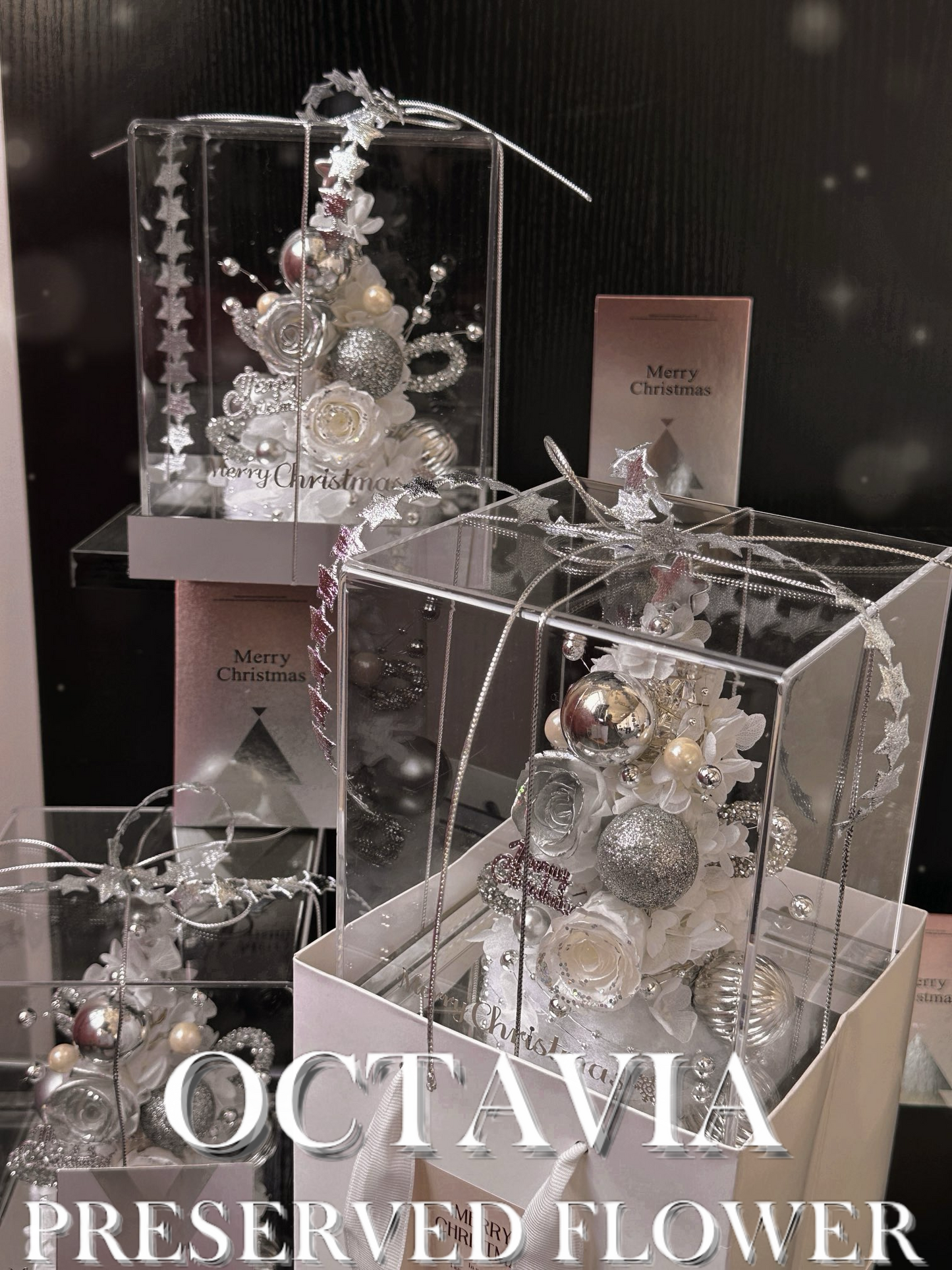 [永生花]-星願聖誕樹(共2色)