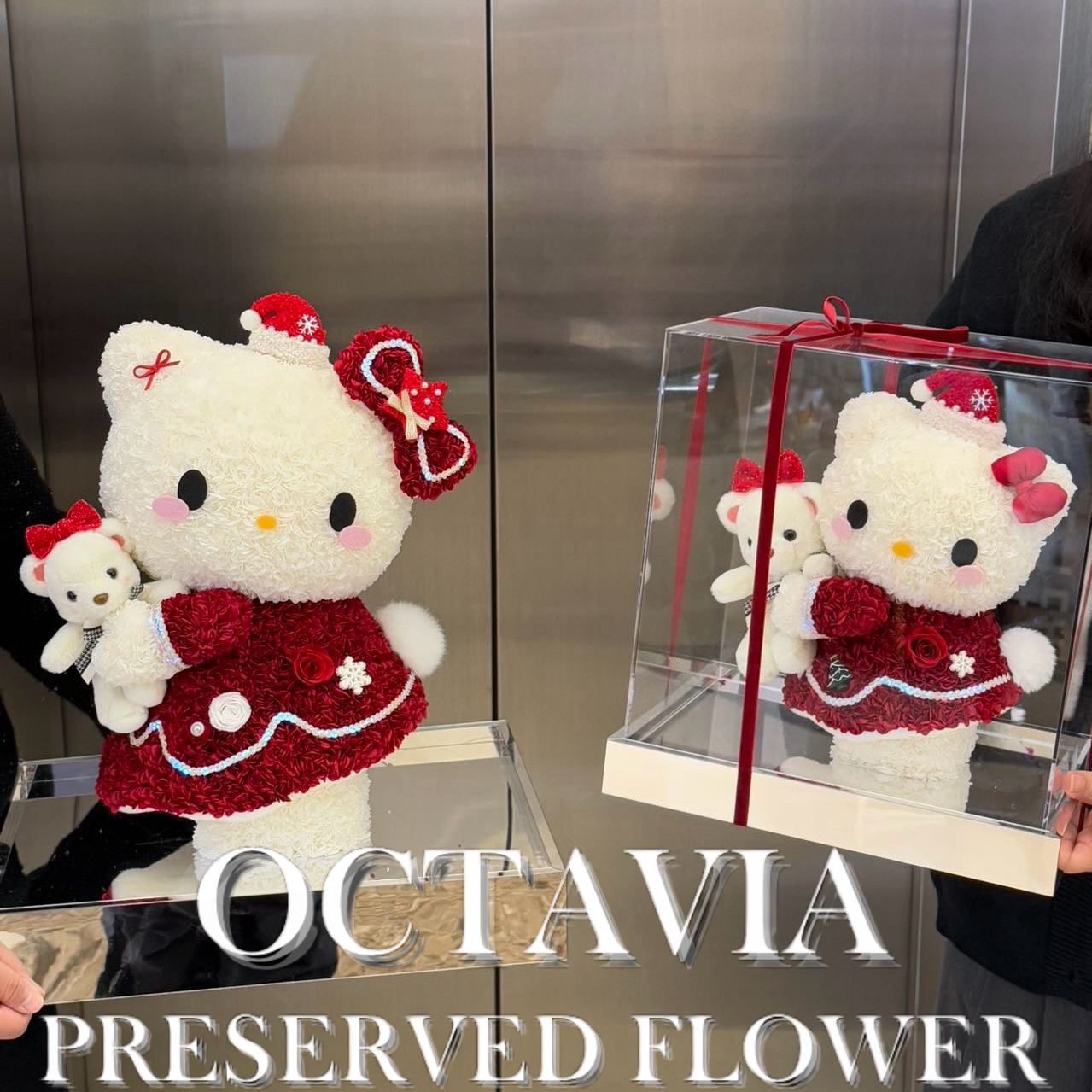 [永生花]-聖誕Kitty和她的小熊