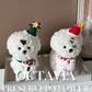 Christmas preserved flower - puppy
