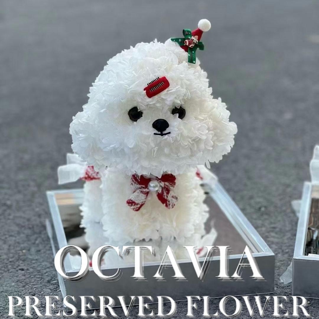 Christmas preserved flower - puppy