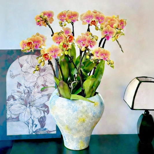 2026 新春賀年蘭花 10枝橙黃色蝴蝶蘭 手繪北歐花器 (10 Stems
Orange Orchid Home Decor HK Arrangement) CNY