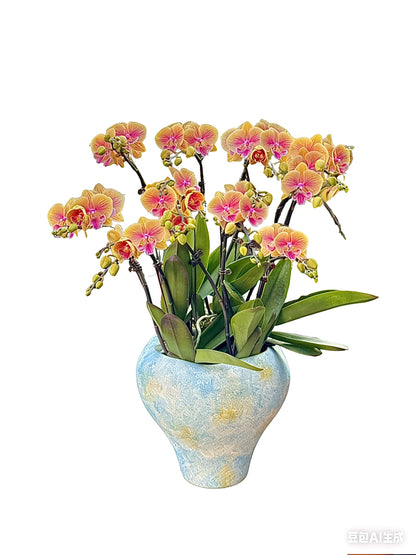 New Year Orchids - 10 Orange-Yellow Phalaenopsis Orchids - Yuecheng - Hand-painted Nordic Vase 