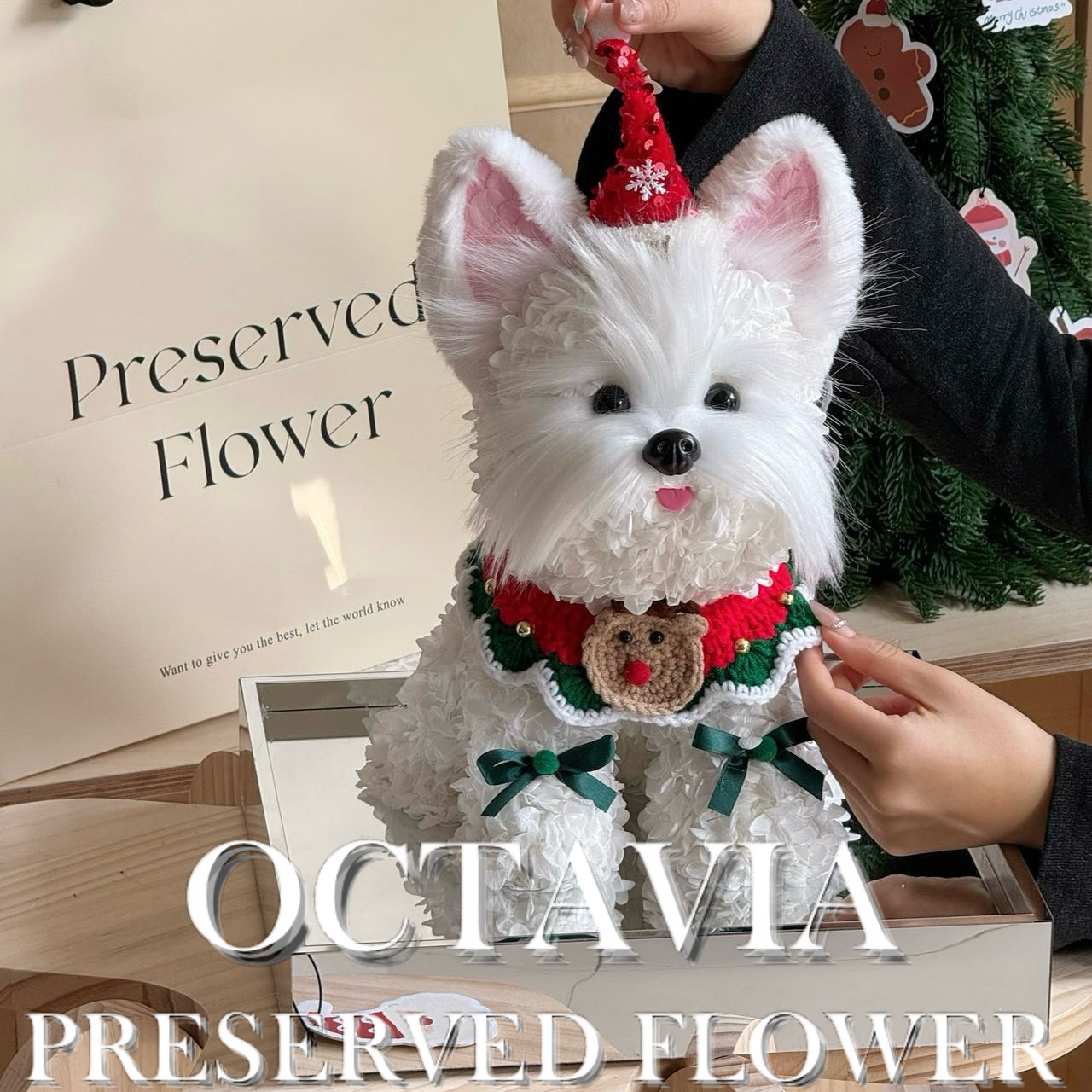 Christmas preserved flower - puppy