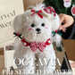 Christmas preserved flower - puppy