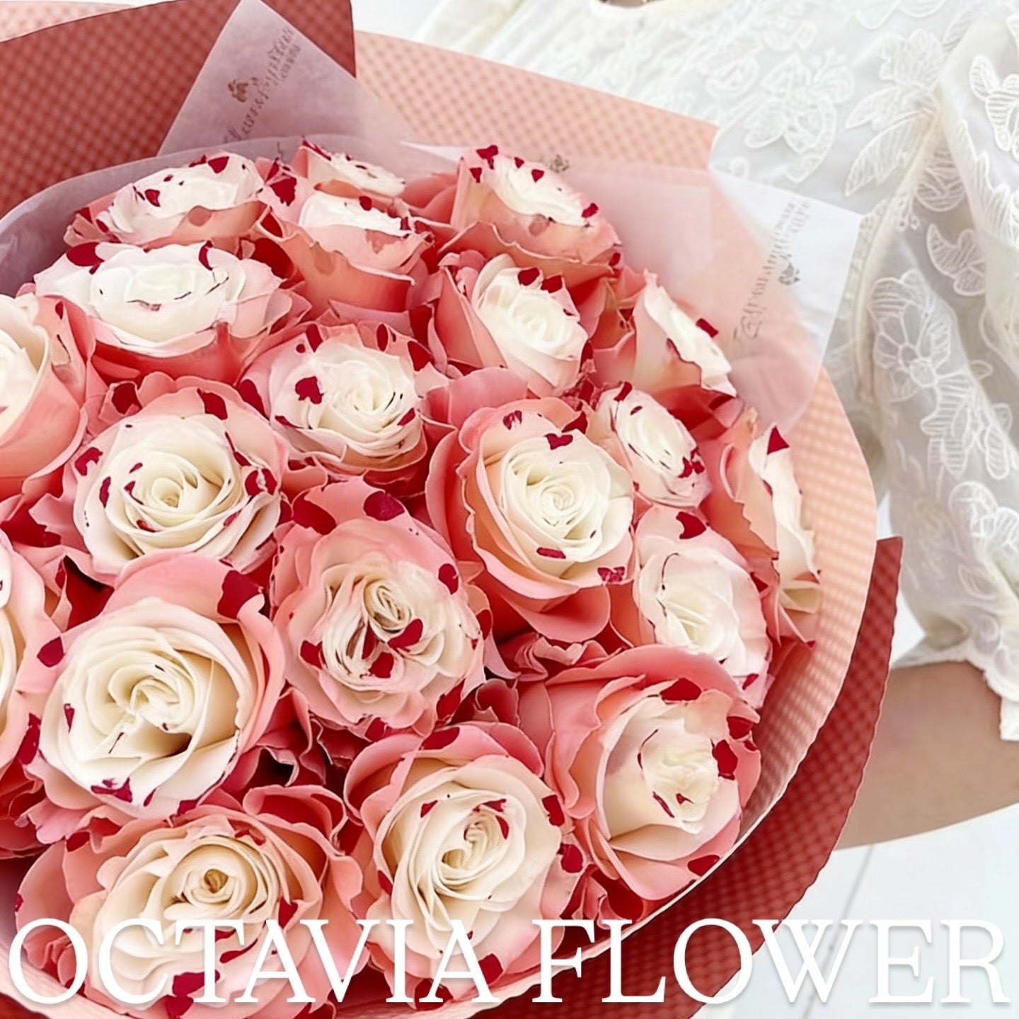 朋 OCTAVIA