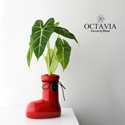 Christmas Greenery - Red Boots and Green Velvet Calla Lily