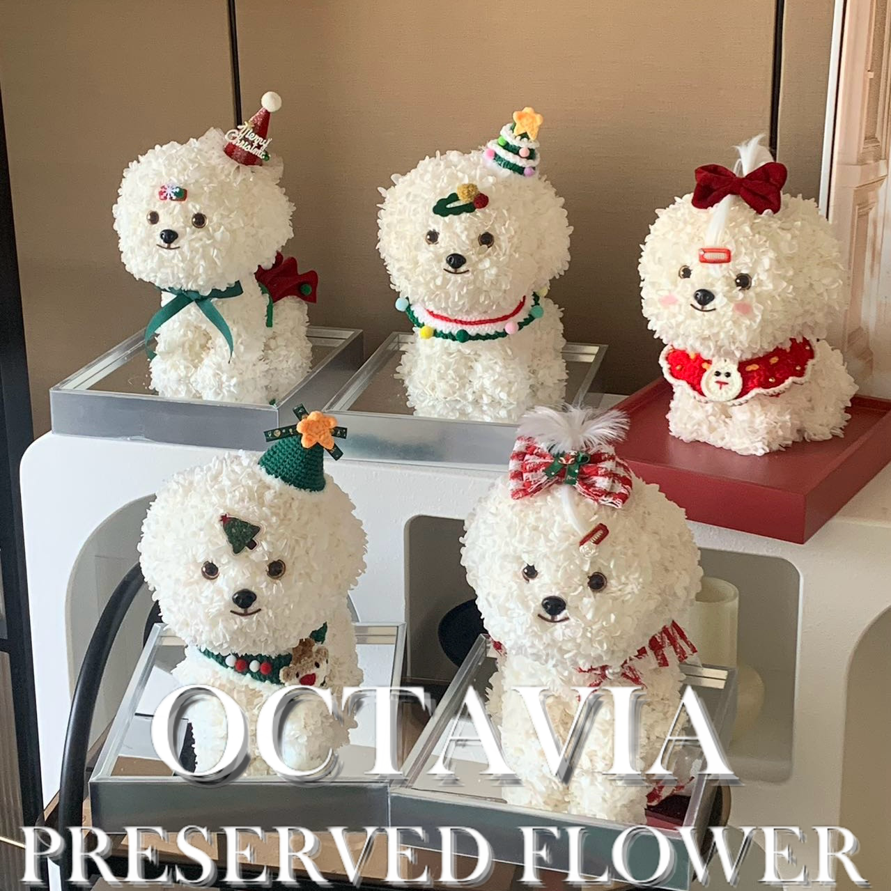 Christmas preserved flower - puppy