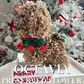 Christmas preserved flower - puppy