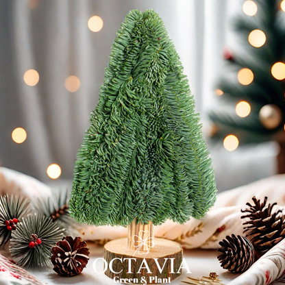Handmade fresh Christmas tree (DIY material kit available for purchase)