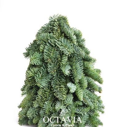 Handmade 3D Fresh Christmas Tree (DIY material kit available for purchase)