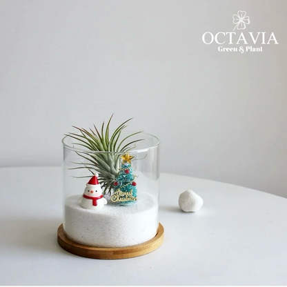 Mini Christmas Tree - Air Pear